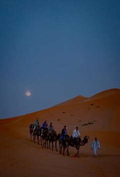 In Morocco’s Atlas Mountains, Trekking Is Still a Human Experience